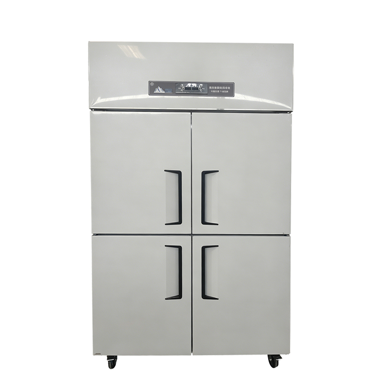 Vertical commercial freezer-A004