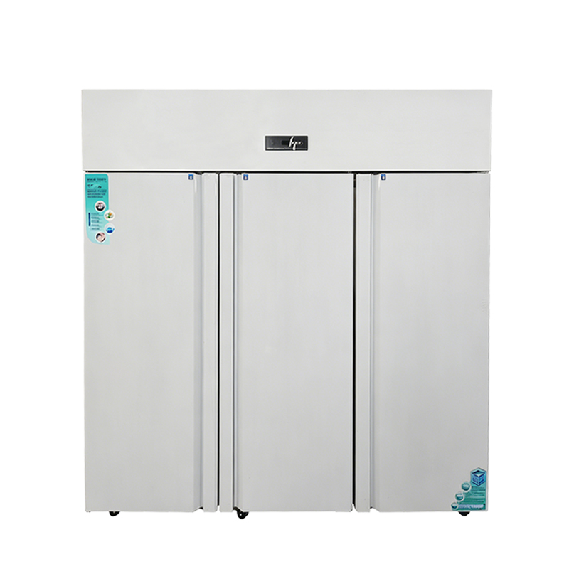 Vertical commercial freezer-A002