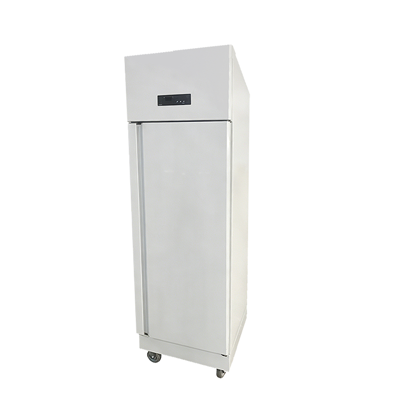 Vertical commercial freezer-A001